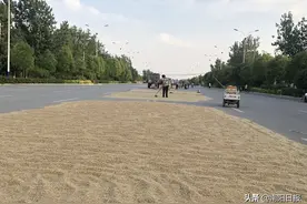 道路成晒场 这种行为真不该图片
