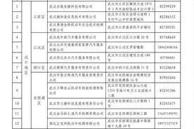 可以检车啦！即日起，武汉机动车检验机构复工图片