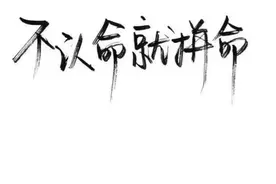 不认命就拼命图片