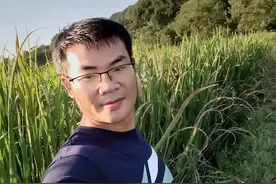 长在水里的笋，你吃过吗？图片