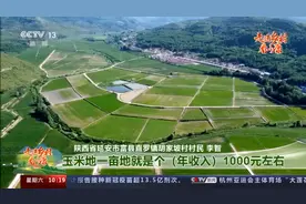 走进乡村看小康丨听大伙说说村里的新变化图片