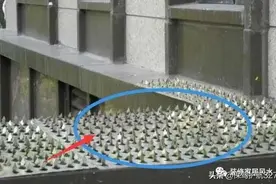 比防盗网更靠谱，小偷见了绕道走，邻居看了都要照着装图片