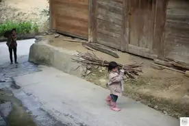 万般皆是命，半点不由人，我表姐的人生经历（之一）图片