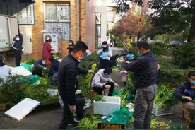 双一流大学博导变帮厨？亲自为学生盛饭，3万余师生抱团取暖图片