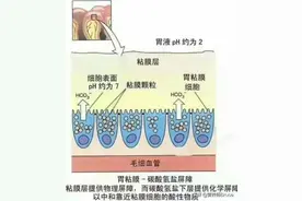 慢性胃炎不能吃哪些食物？应该吃些什么？图片