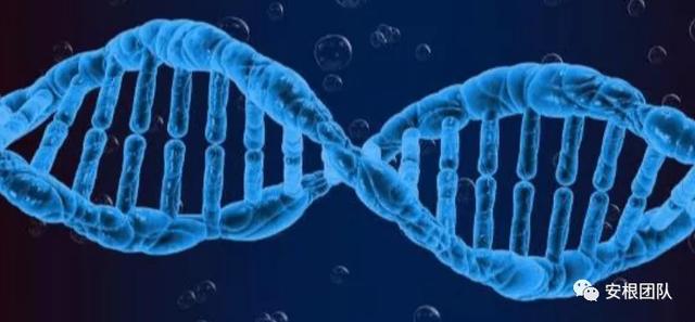 生物刺激素2：氨基酸