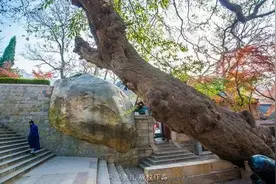 崂山道士的穿墙术图片