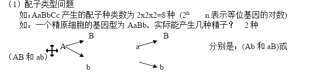 高中生物知识点总结