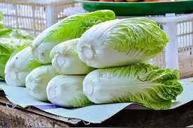 醋溜白菜帮，先炒白菜帮还是先放醋？教你正确做法，看完后明白了图片