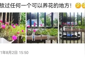 微商的八大骗局 你中招了吗？图片