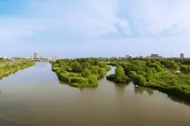 灞桥生态湿地公园赋图片