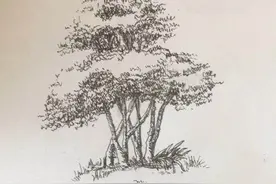 成功每天进步一点点图片