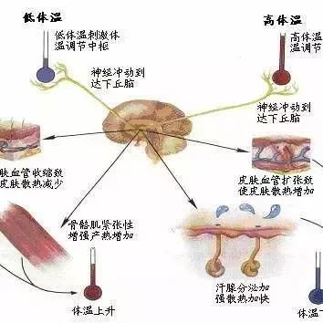 婴儿一会冷一会起鸡皮疙瘩 婴儿一会冷一会起鸡皮疙瘩