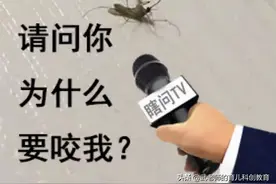 「科普」今天告诉你，为什么蚊子总是咬你？图片