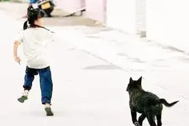 被狗追赶时，这样做才能让狗放弃追你，今天终于涨知识了