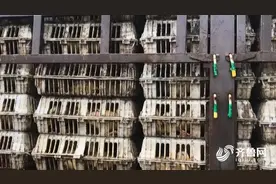 高速上1500只鸭子险变“烤鸭”，德州消防员20分钟喷了3吨水降温营救图片