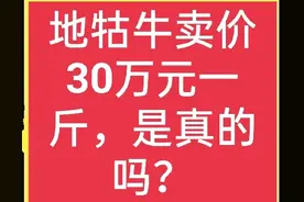 地牯牛一斤卖三十万元，是真的吗？哪里有人收？无保留的分享出来图片
