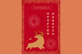 用行动书写责任，树初心倾力奉献——镇平疾控中心2020年度获奖总结图片