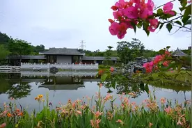 深圳宝安藏着一个“小苏州园林”，刚开园不久图片