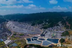 金沙：大力推进农业现代化助推乡村振兴图片