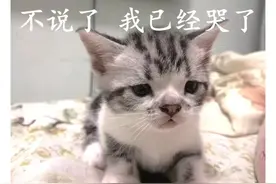 急急急！我被自己开的车给撞伤了，能找保险公司索赔吗？该怎么办？| 案例图片