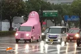 日本网民吐槽：巴巴爸爸出现在公路上图片