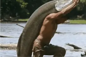 菜刀都砍不动的鱼，以食人鱼为食，在菜市场中却最受欢迎图片