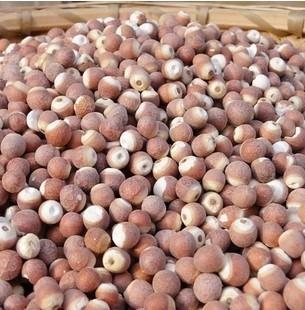 鑺″疄鏄竴绉嶄粈涔堟牱鐨勬鐗? onerror=