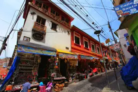 世界唯一女巫市场存在800年，女巫行医算命卖神药咒语羊驼干尸图片