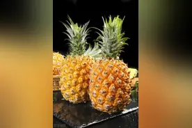 才知道，原来菠萝和凤梨的差别这么大，以前老买错，还以为赚到了图片