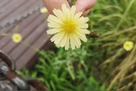 负债中攒下的姐妹情谊图片