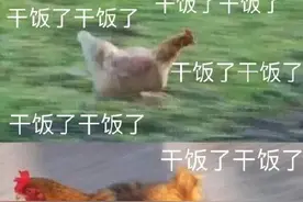 干饭表情包图片