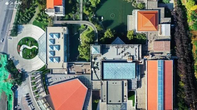 五谷杂粮绘花胶 2026年五谷杂粮花胶图片