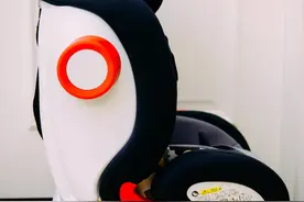 送小外甥女的儿童节礼物——Savile猫头鹰卢娜安全座椅分享图片