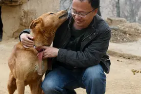 农村土狗为啥多数害怕屠夫，它们是怎么分辨的呢？图片