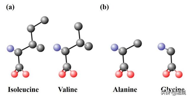 蛋白质翻译时如何确保选择正确的tRNA？