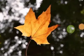 被小人欺负时，不必翻脸，学会以下几种回击方式图片