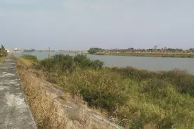 广东吴川市黄坡镇下水港村旁的鉴江边实拍，你们来过这里吗？图片