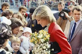 戴妃车祸去世24年，目击者曝细节：起初并无大碍，遗容完好且漂亮图片