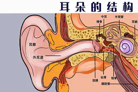 国际聋人日｜别让生活按下了静音键，关注听力健康图片