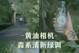 黄油相机：治愈养眼绿色系森系清新绿教程图片