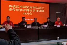 首支传统武术国家集训队成立  国家级非遗传承人陈伟强任教练图片