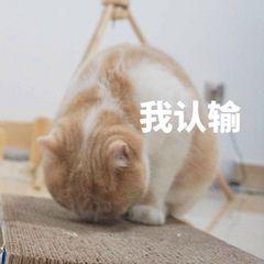 香氛来袭！绝对不怕撞香的洗护沐套装