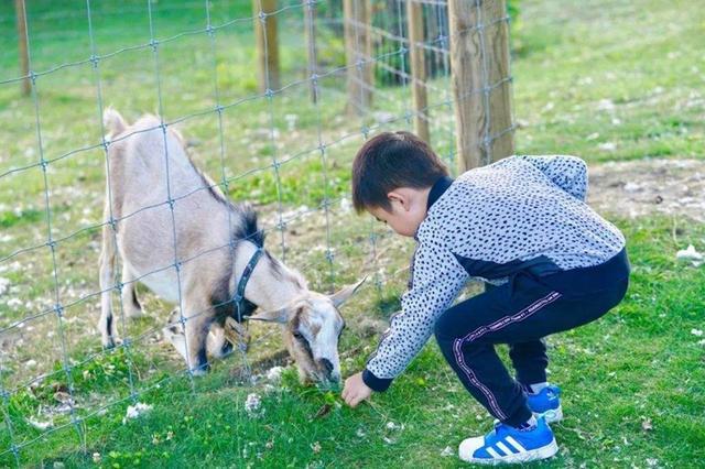 宝宝腿上长的像鸡皮疙瘩一样的东西