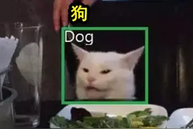 人工智能到底有多智障？这20组趣图告诉你图片