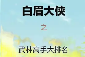 《白眉大侠》里面所有的武林高手排行榜图片