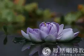 “谋事在人，成事在天”：真是这样吗？图片