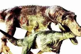 十大最强食肉恐龙 恐龙战斗力排名：棘龙、霸王龙、蛮龙图片