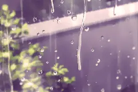 英语小知识图片