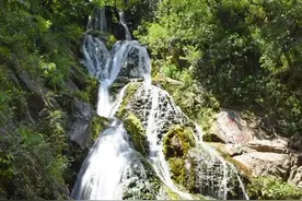 采菊东篱下图片